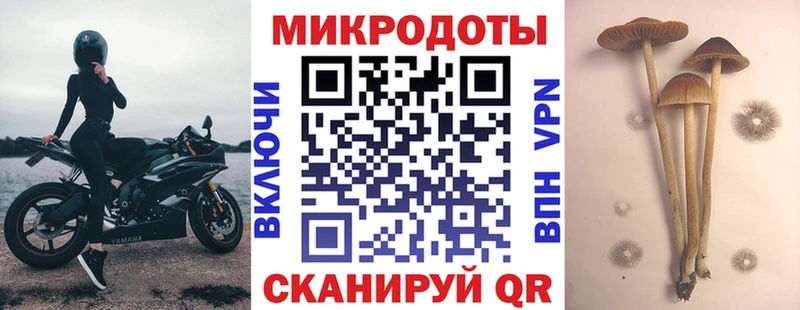 цены наркотик  Новоалтайск  Псилоцибиновые грибы мухоморы 