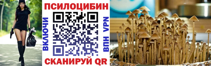 Псилоцибиновые грибы Cubensis Новоалтайск