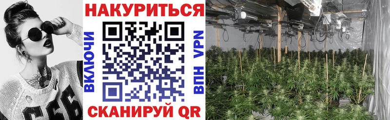 Шишки марихуана тримм  Новоалтайск 
